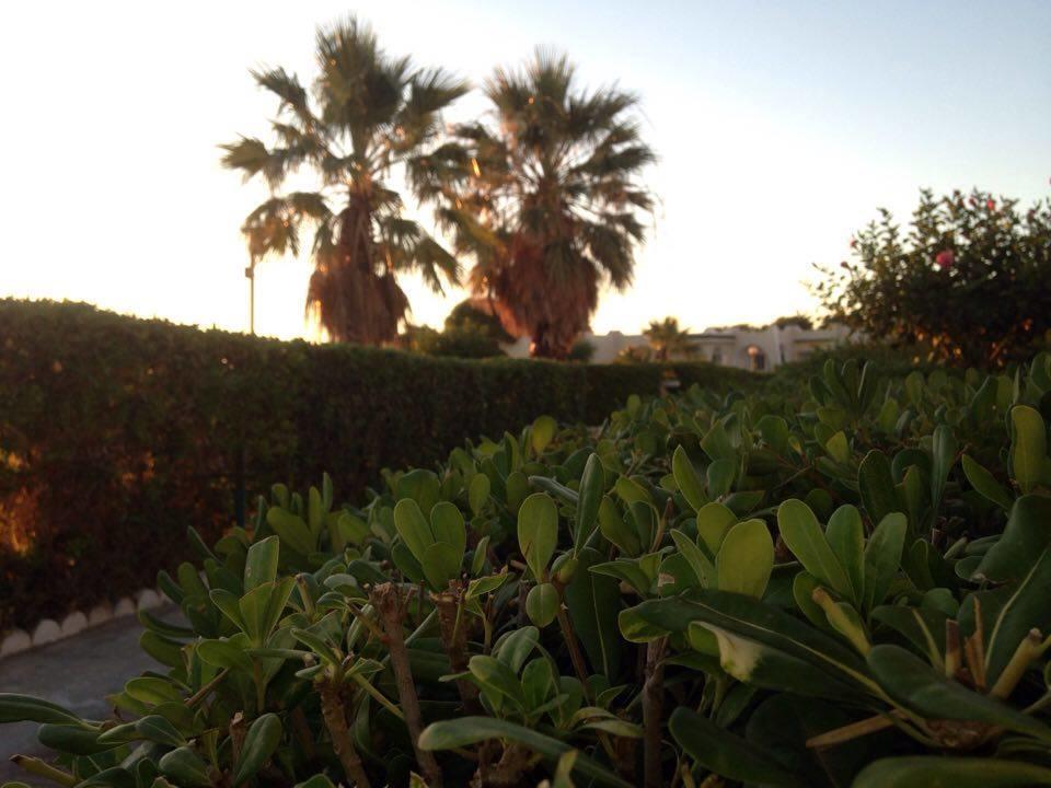 מלון ביזרטה Complexe Touristique Sidi Salem מראה חיצוני תמונה